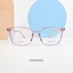 parim 85036 v1