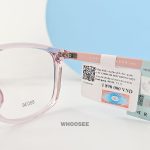 parim 85036 v1