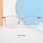 parim 85036 v1