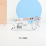 parim 85063 v3