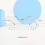 velocity vl23510 c02